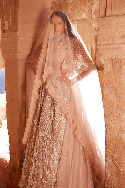 RM-Champagne Embroidered Net Cape, Sleeveless Organza Blouse And Net Lehenga