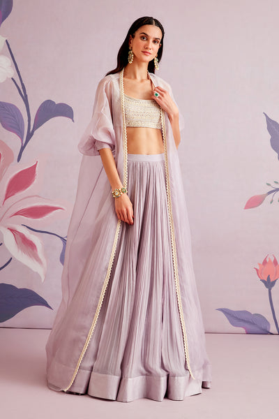 RM-Embroidered net blouse with chiffon skirt and embroidered cape