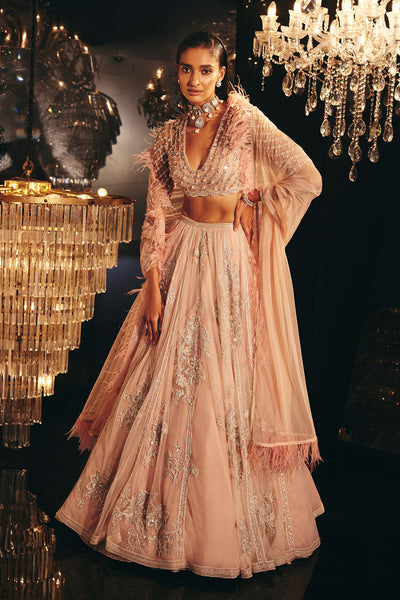 Ridhi-Mehra Beige pink net embellished blouse and heavy embroidered net lehenga