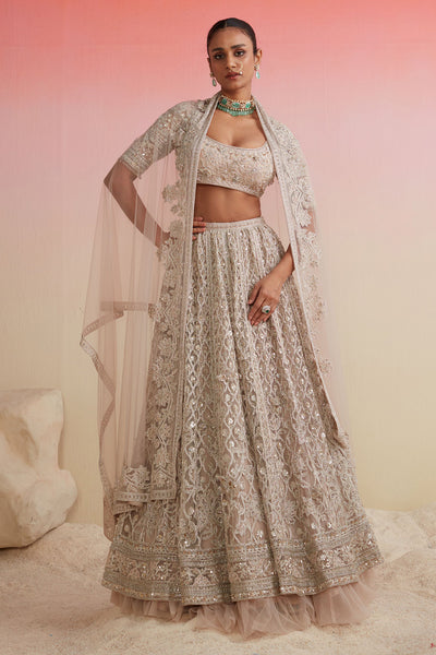 RIDHIMEHRA-CHAMPAGNE GOLD FULLY EMBROIDERED NET LEHENGA