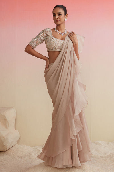 RIDHIMEHRA-CHAMPAGNE GOLD NET EMBROIDERED SAREE