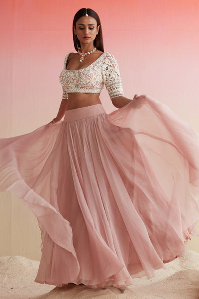 RM-DUSKY PINK EMBROIDERED NET SKIRT AND BLOUSE