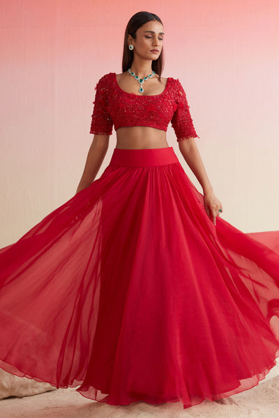 RM-RED EMBROIDERED NET BLOUSE PAIRED WITH PLAIN ORGANZA SKIRT