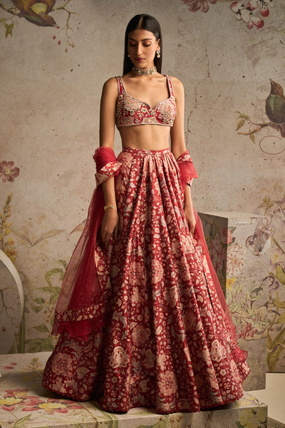 RM-Red Net Embroidered Applique Embroidered Lehenga