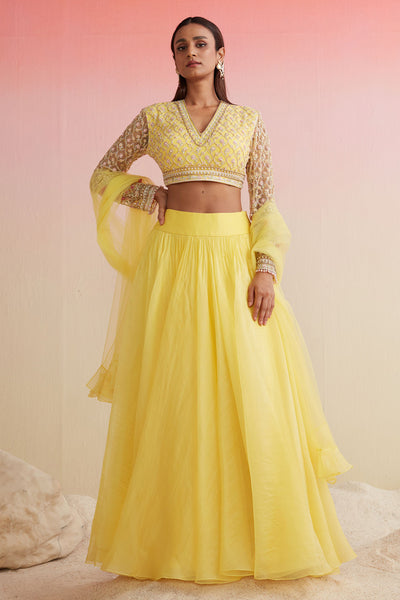 RM-YELLOW NET FULL SLEEVES EMBROIDERED BLOUSE PAIRED WITH PLAIN ORGANZA