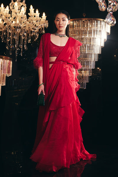 Ridhi-Mehra-Red net all over embroidered saree